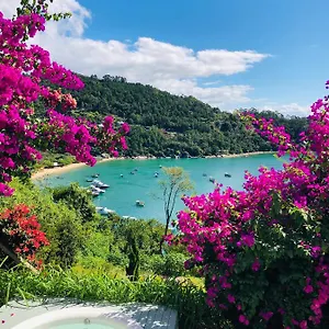 https://studio-vista-do-mar.santa-catarina-brasil.com